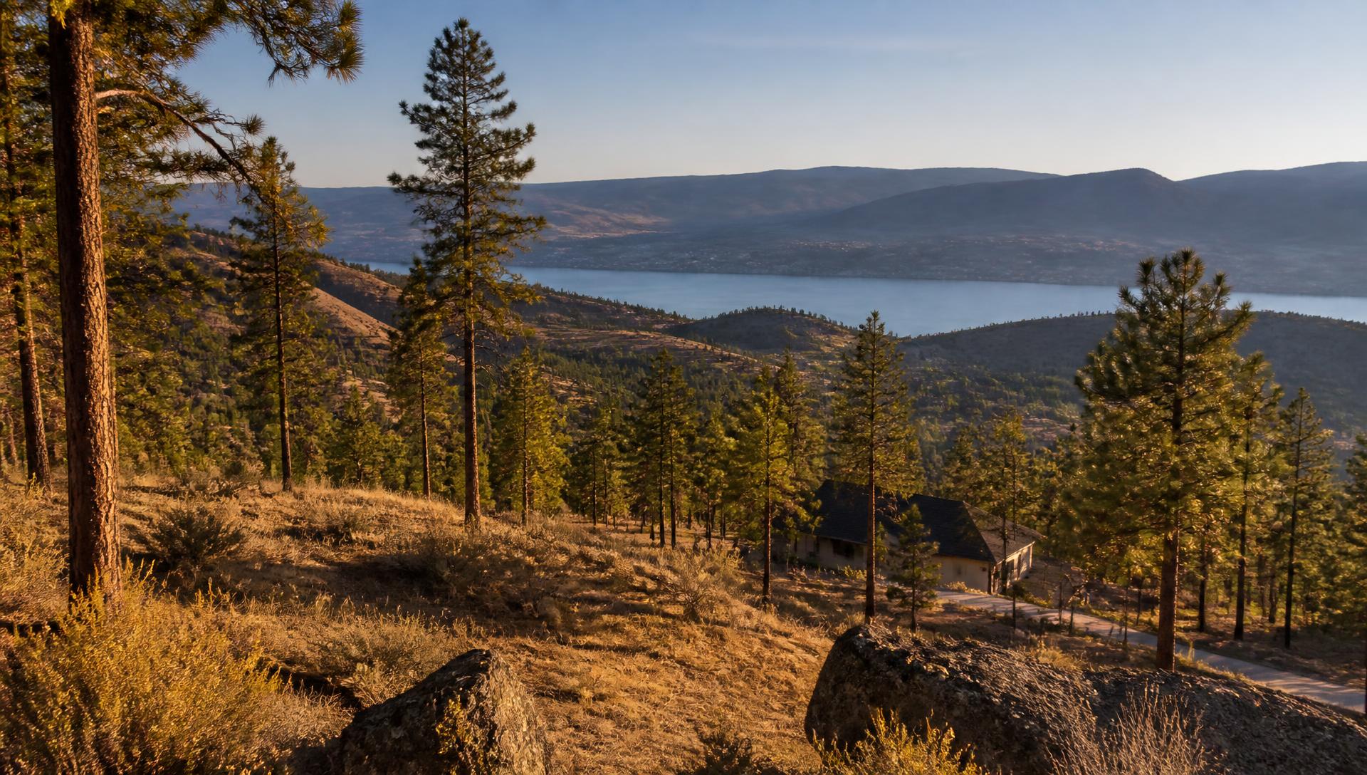 Dry pine forest on an Okanagan hillside above the lake, with a rural home among spaced trees