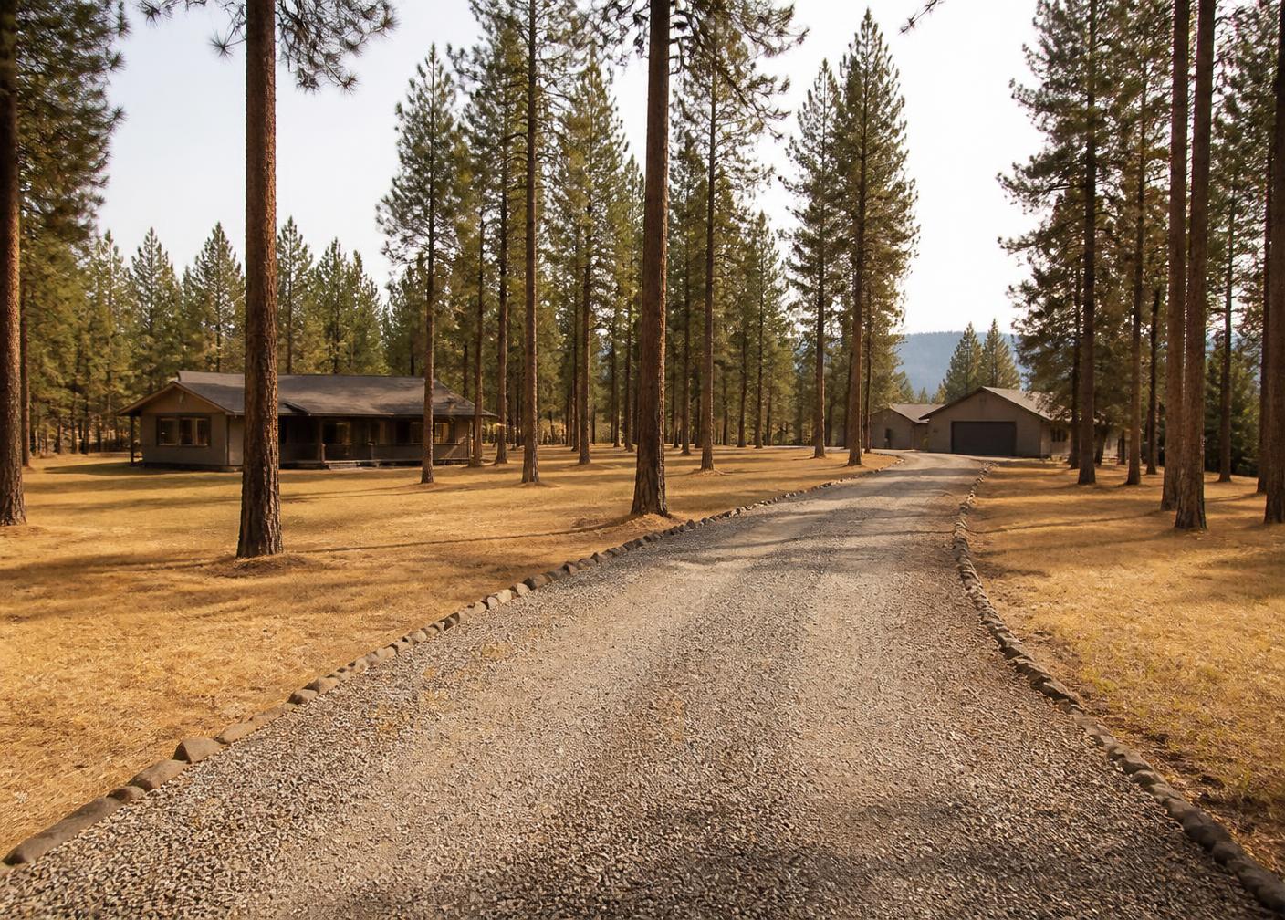 A rural interior British Columbia property with a gravel driveway, mown grass and spaced pines with pruned lower branches